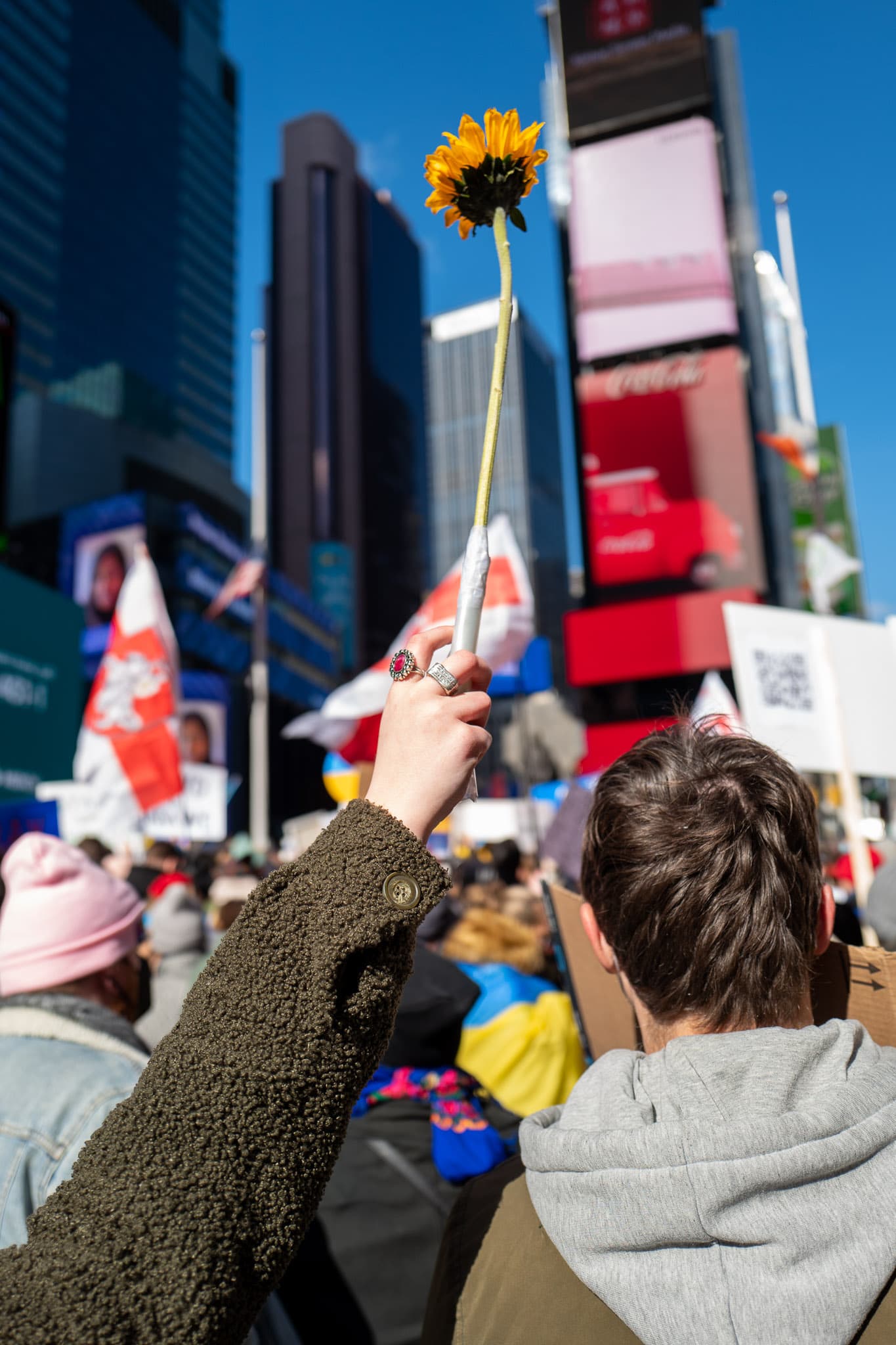 An activist holds a sunflower in solidarity with the Ukraine during the Ukraine-Russia conflict.